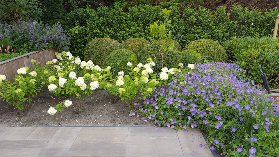 Beplanting, foto 1 van 7