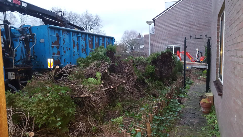 Onderhoud en bomen, foto 2 van 10