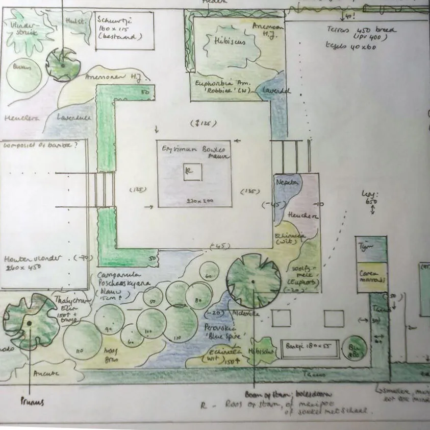 Handgetekend tuinplan met terras, borders en bomen