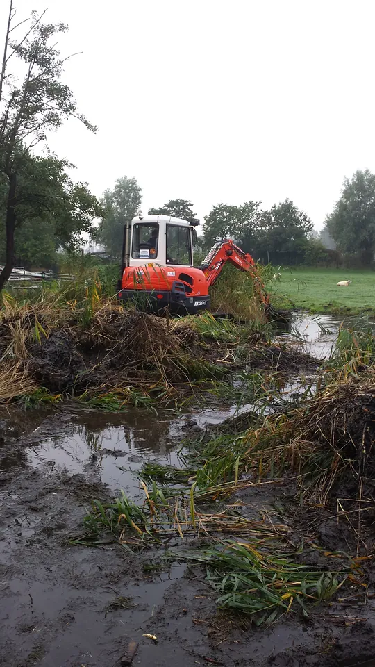 Project Haarlem, foto 3 van 21