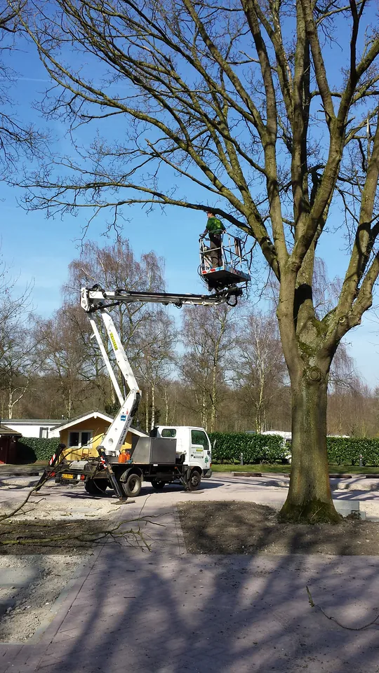 Boom wordt gesnoeid vanaf een hoogwerker