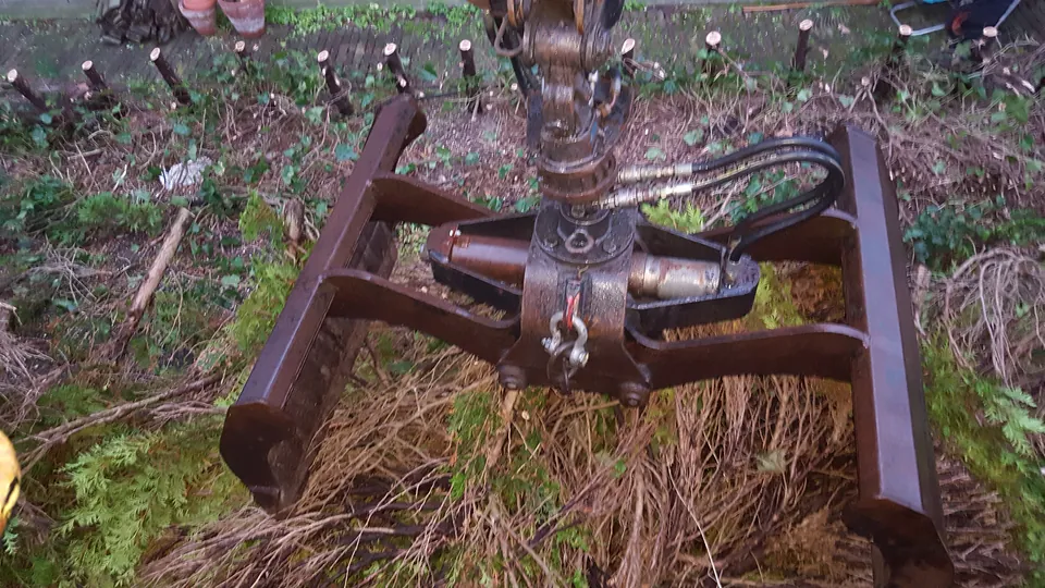Onderhoud en bomen, foto 7 van 10