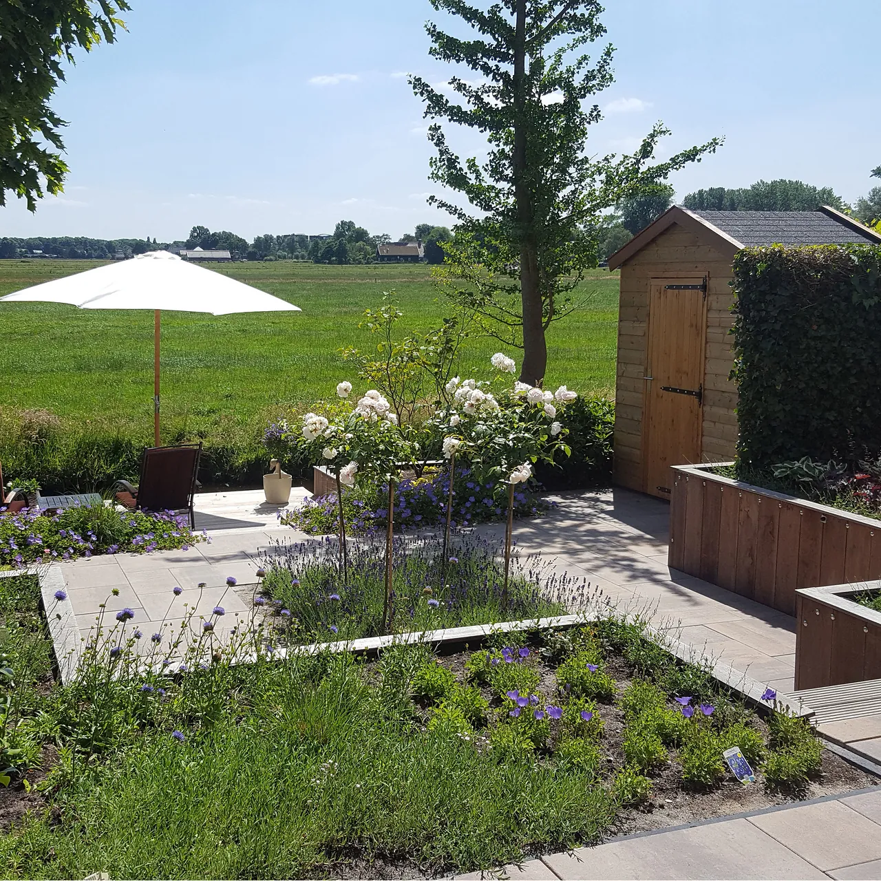 Aangelegde tuin met verhoogde borders van hout, terras en berging aan de polder