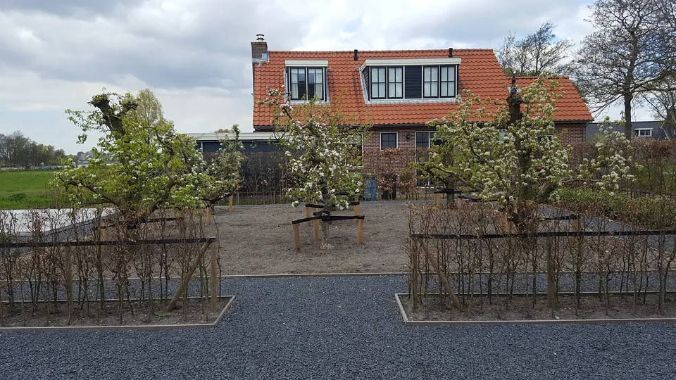 Project Haarlem, foto 19 van 21