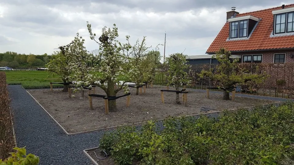 Project Haarlem, foto 18 van 21